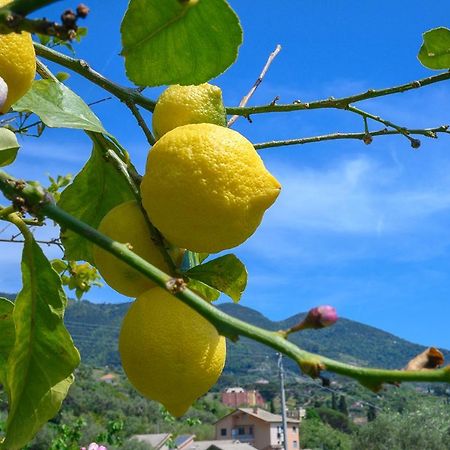 Casa Limoni Villa Monterosso al Mare Buitenkant foto