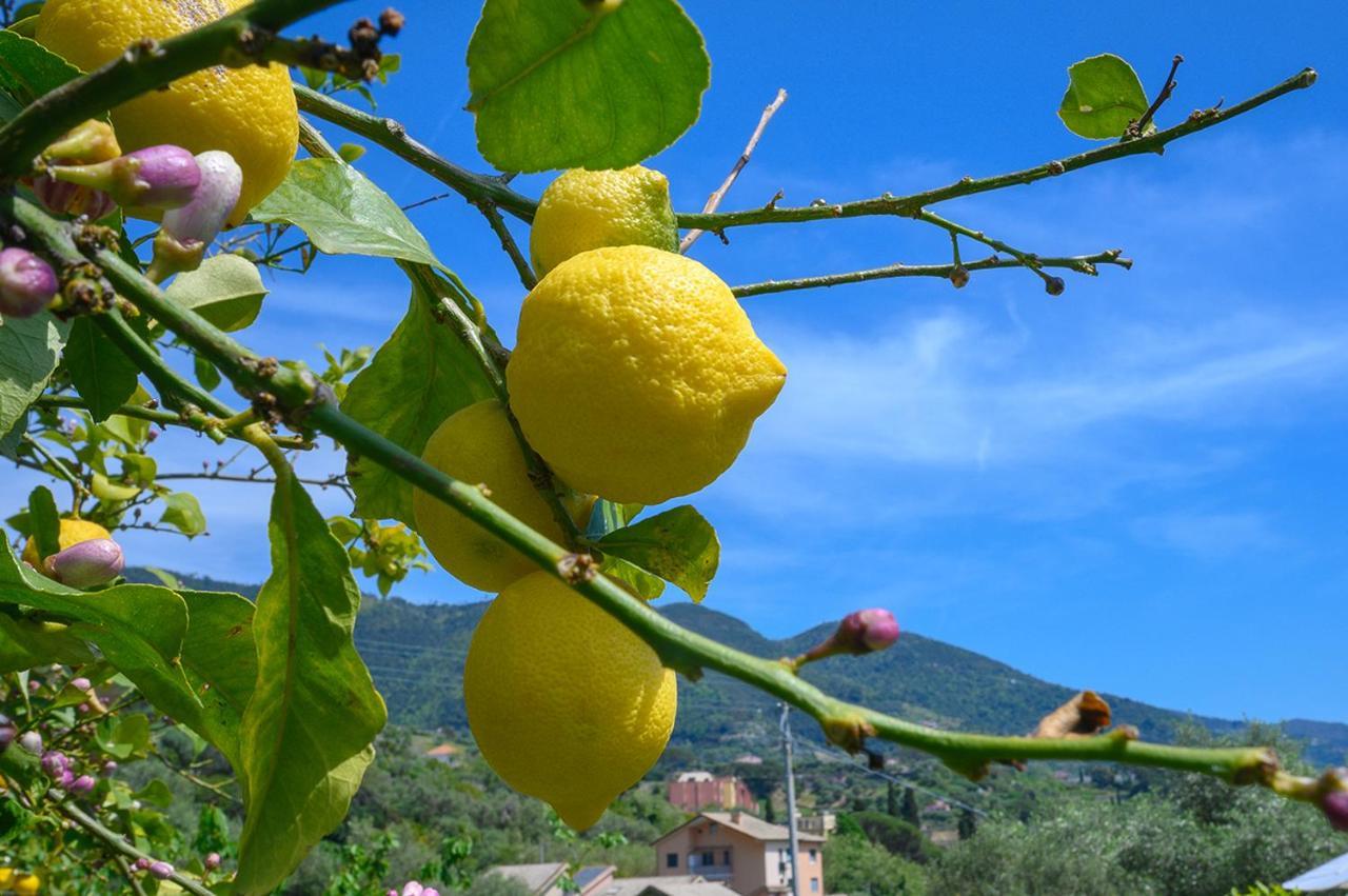 Casa Limoni Villa Monterosso al Mare Buitenkant foto